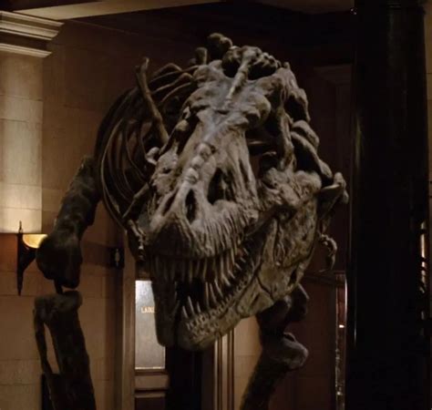 night at the museum triceratops|Rexy .
